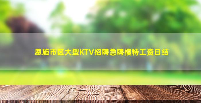 恩施市区大型KTV招聘急聘模特工资日结